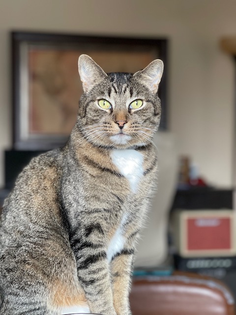 Max (formerly Benji)