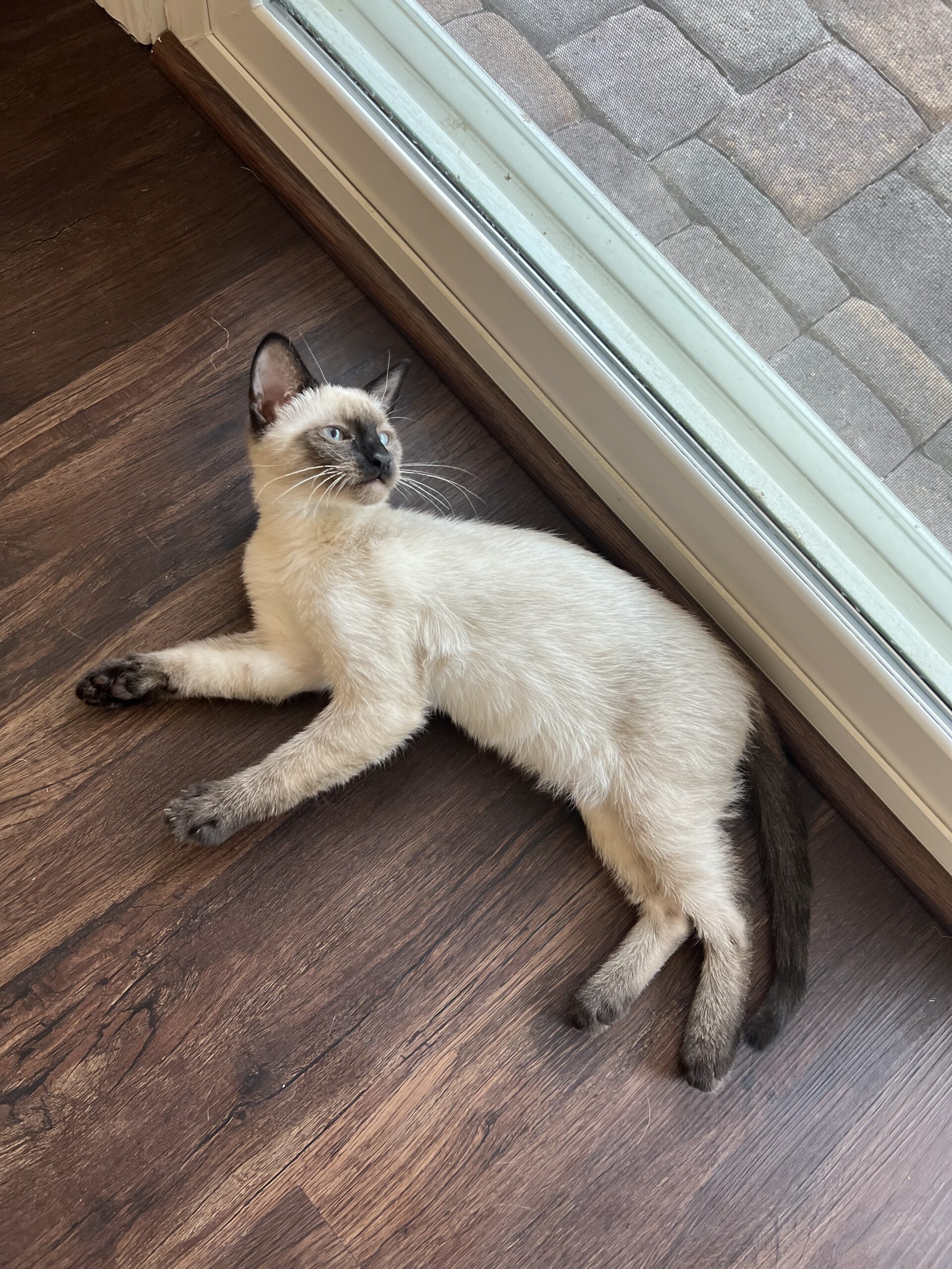 Jack (formerly Kavala)