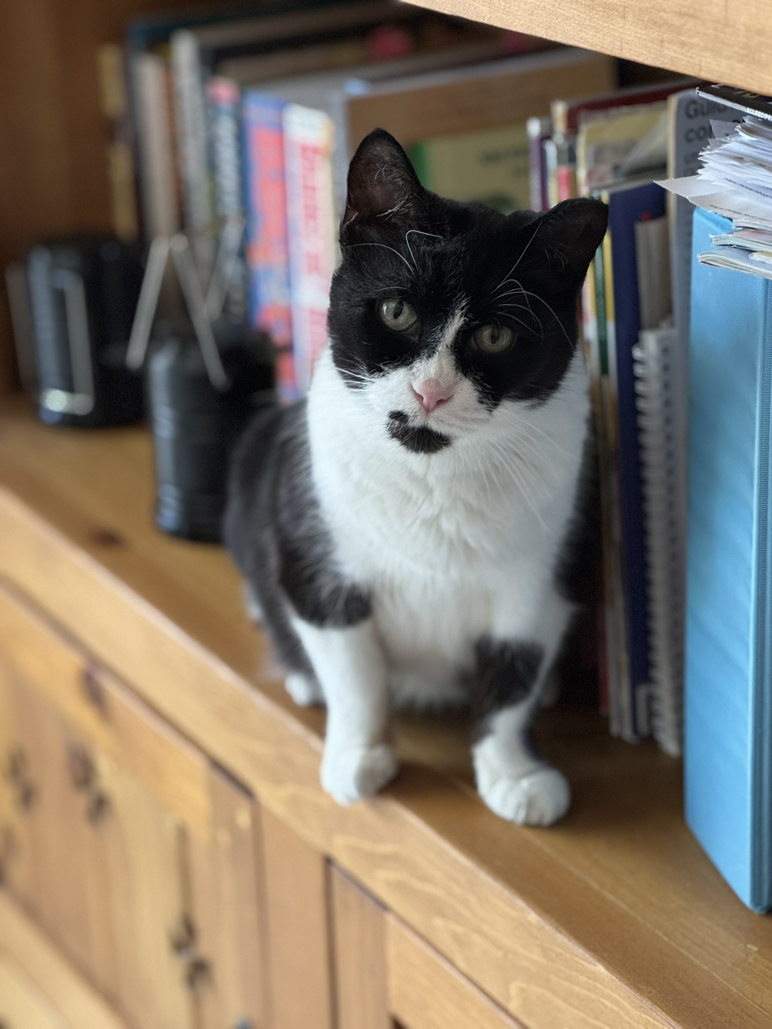 Charlie Fortune "Spud" (formerly Fortune)