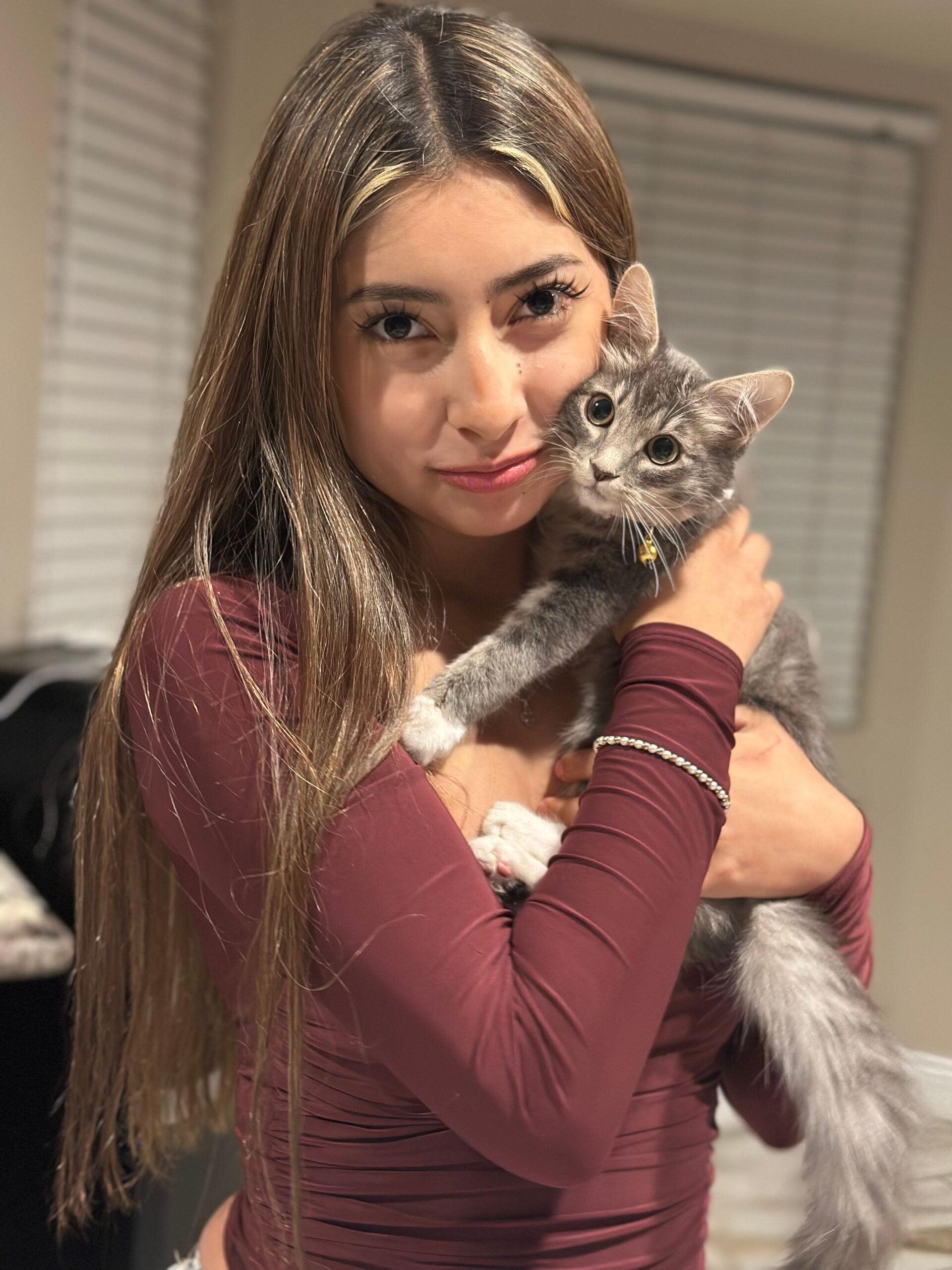 Kiki (formerly Tempest)